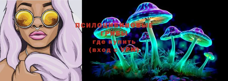 Галлюциногенные грибы Psilocybine cubensis  Долинск 